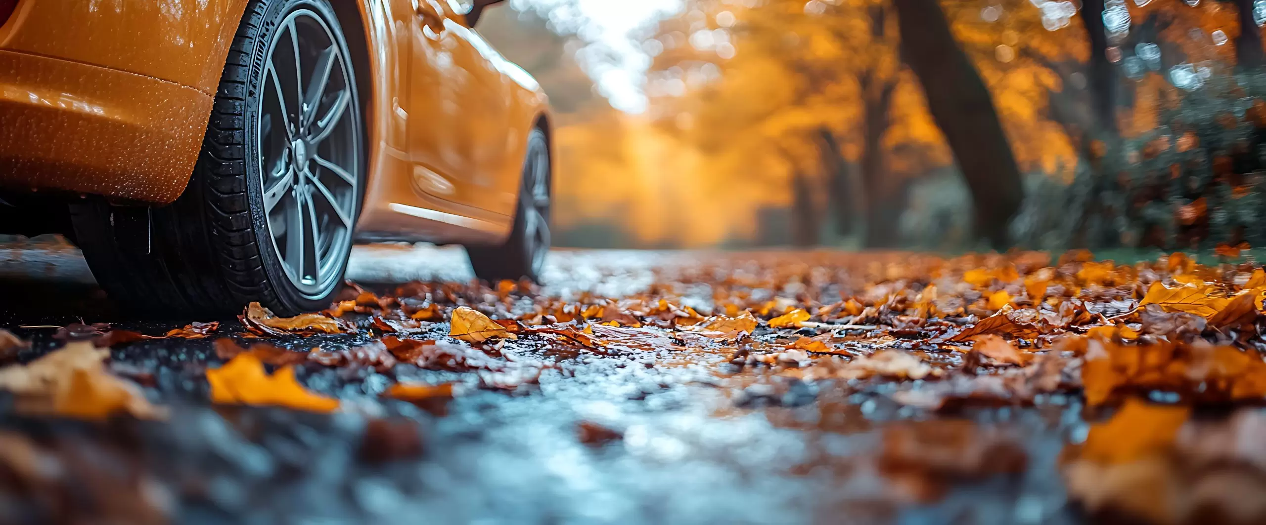 Prepare your car tires for autumn with Nasiol Nano Coatings